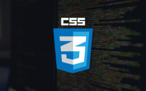 CSS: Estilizando a Web com Elegância