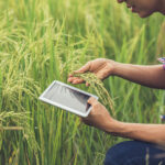 Software para o Agronegócio: Tecnologias que Transformam a Gestão e Impulsionam Resultados no Campo