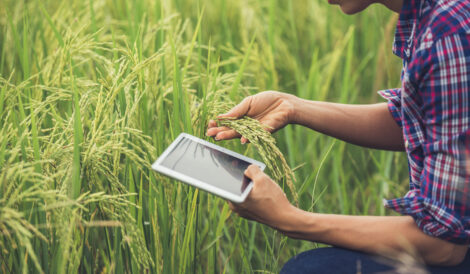 Software para o Agronegócio: Tecnologias que Transformam a Gestão e Impulsionam Resultados no Campo