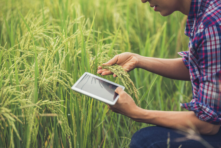 Software para o Agronegócio: Tecnologias que Transformam a Gestão e Impulsionam Resultados no Campo