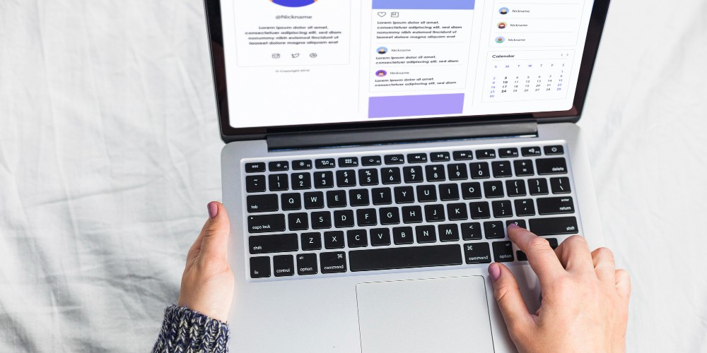 WordPress Profissional WordPress Profissional