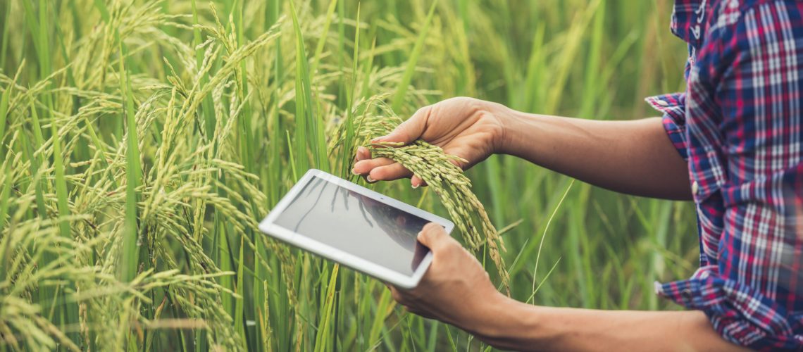 Software para o Agronegócio: Tecnologias que Transformam a Gestão e Impulsionam Resultados no Campo